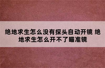 绝地求生怎么没有探头自动开镜 绝地求生怎么开不了瞄准镜